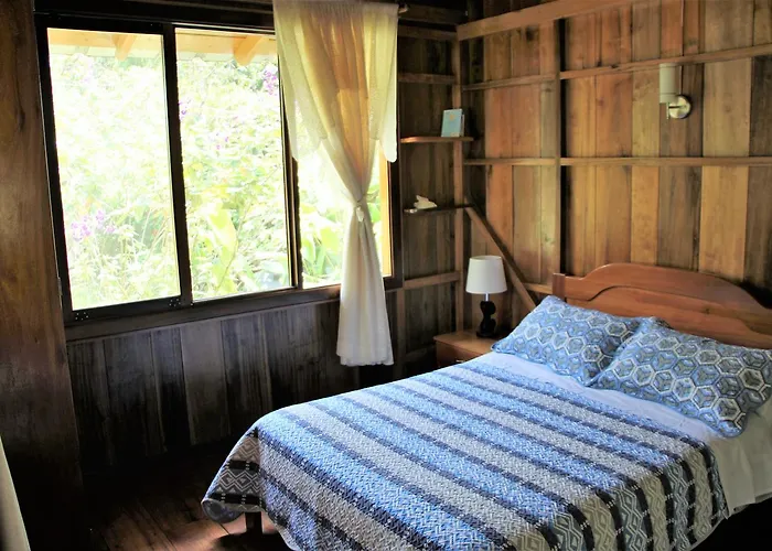 Bird Lover'S House